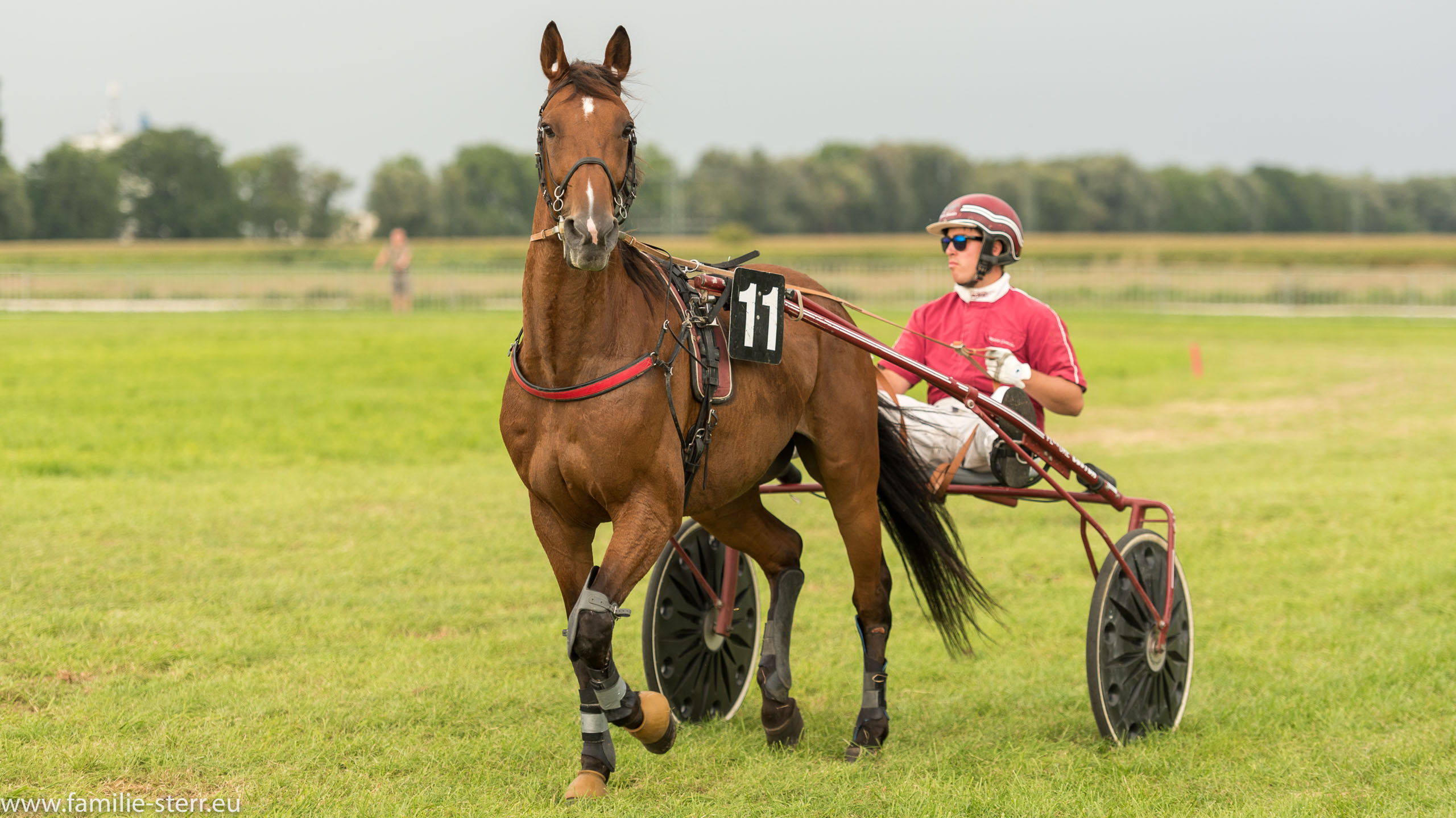 Trabrennen in Erding 2017